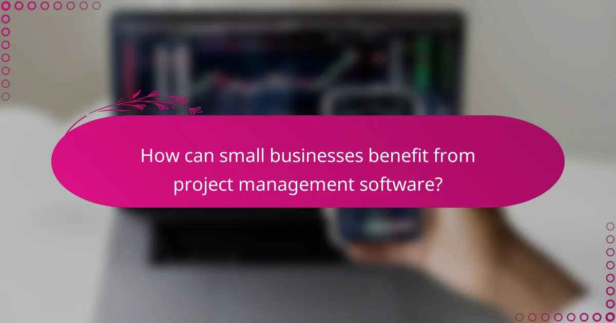 How can small businesses benefit from project management software?