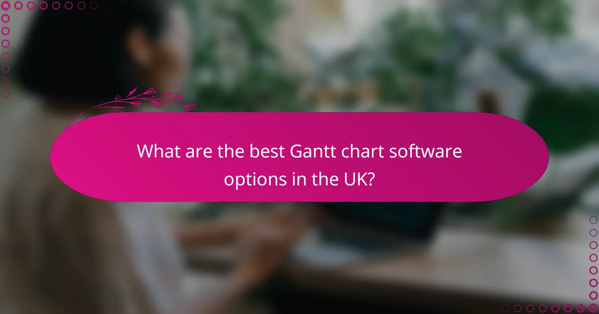 What are the best Gantt chart software options in the UK?